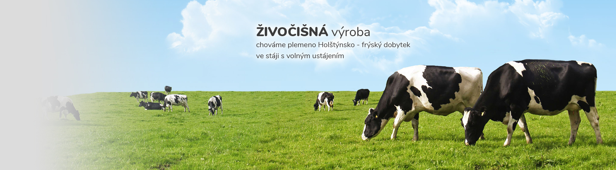 živočišná výroby