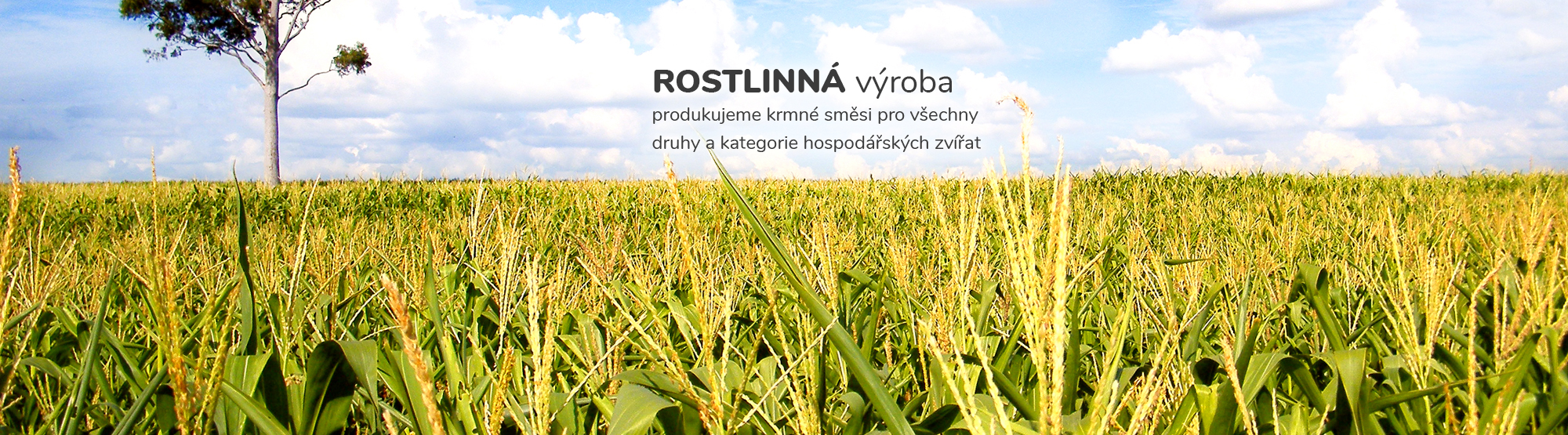 rostlinná výroba