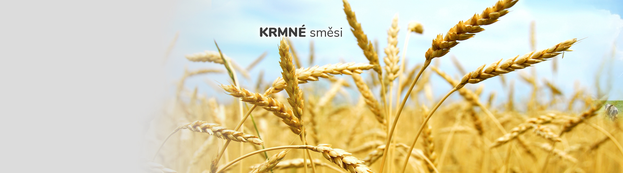 krmné směsi